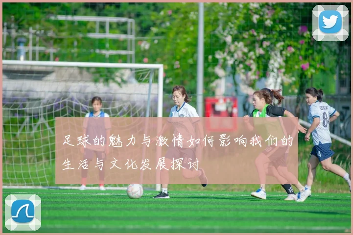 足球的魅力与激情如何影响我们的生活与文化发展探讨