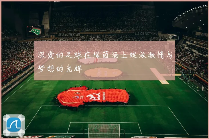 深爱的足球在绿茵场上绽放激情与梦想的光辉
