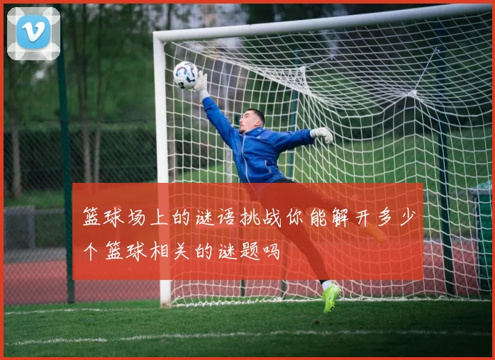 篮球场上的谜语挑战你能解开多少个篮球相关的谜题吗