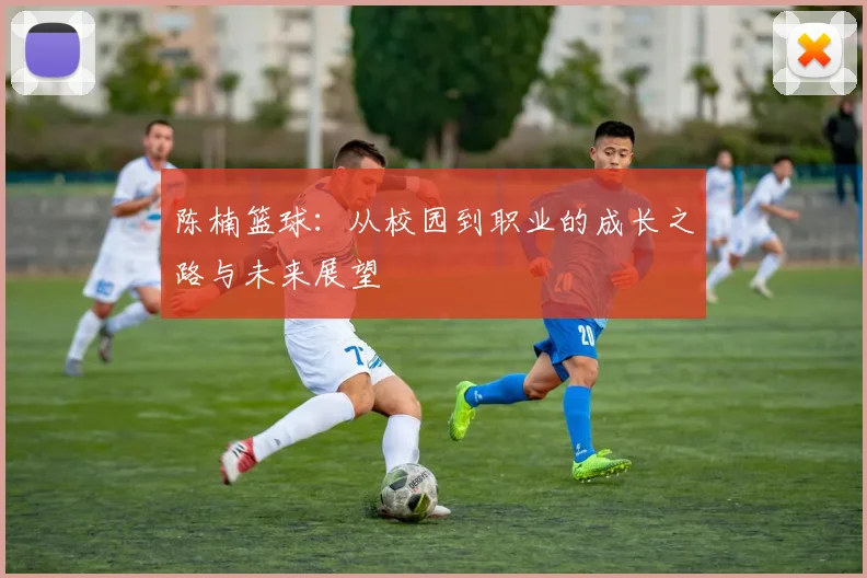 陈楠篮球：从校园到职业的成长之路与未来展望