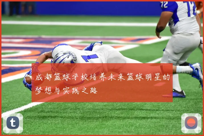 成都篮球学校培养未来篮球明星的梦想与实践之路