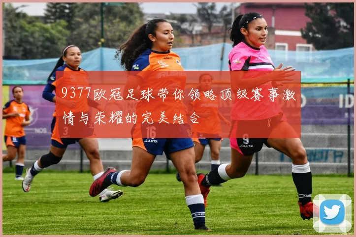 9377欧冠足球带你领略顶级赛事激情与荣耀的完美结合